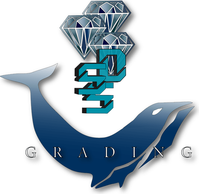 SSD Grading